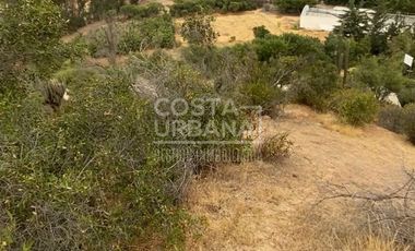 Vende terreno en Curacaví
