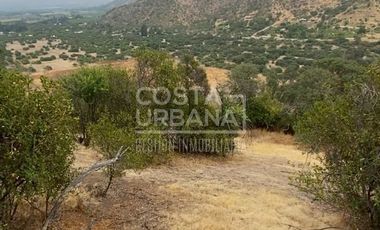Vende terreno en Curacaví