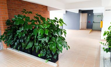 APARTAMENTO EN ARRIENDO UBICADO EN MARINILLA SECTOR ALCARAVANES