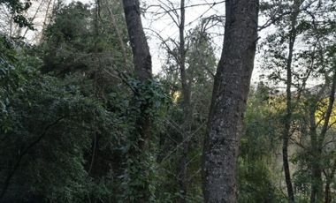 SAN CLEMENTE, SIETE TAZAS