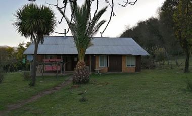 SAN CLEMENTE, SIETE TAZAS