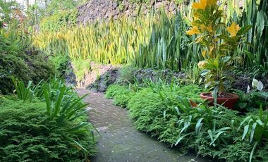 Casa y/o Hotel Boutique Cuernavaca