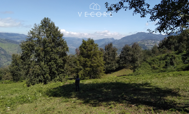 TERRENO EN VENTA, TENANGO DE DORIA, HIDALGO