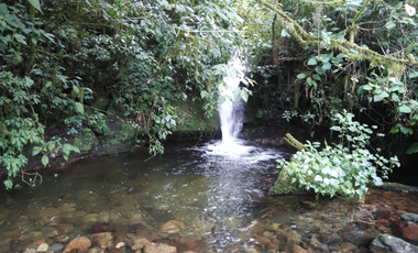 TERRENO EN VENTA, TENANGO DE DORIA, HIDALGO