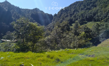 TERRENO EN VENTA, TENANGO DE DORIA, HIDALGO