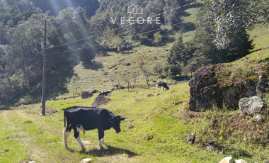 TERRENO EN VENTA, TENANGO DE DORIA, HIDALGO