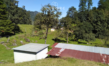 TERRENO EN VENTA, TENANGO DE DORIA, HIDALGO