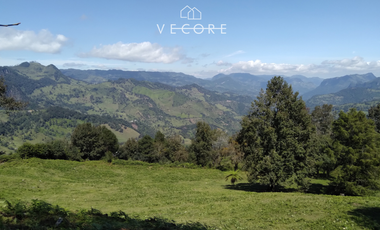 TERRENO EN VENTA, TENANGO DE DORIA, HIDALGO