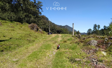 TERRENO EN VENTA, TENANGO DE DORIA, HIDALGO