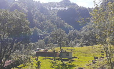 TERRENO EN VENTA, TENANGO DE DORIA, HIDALGO