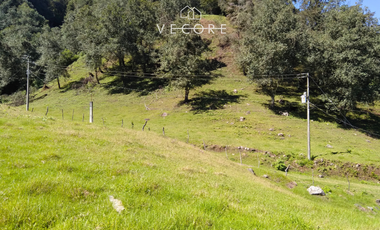 TERRENO EN VENTA, TENANGO DE DORIA, HIDALGO