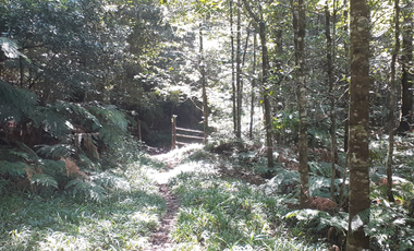 TERRENO EN VENTA, TENANGO DE DORIA, HIDALGO