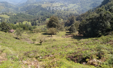 TERRENO EN VENTA, TENANGO DE DORIA, HIDALGO