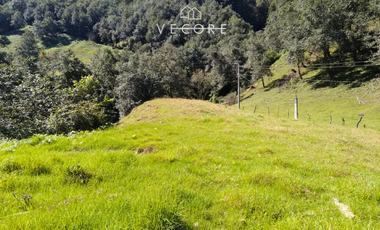 TERRENO EN VENTA, TENANGO DE DORIA, HIDALGO