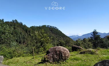 TERRENO EN VENTA, TENANGO DE DORIA, HIDALGO