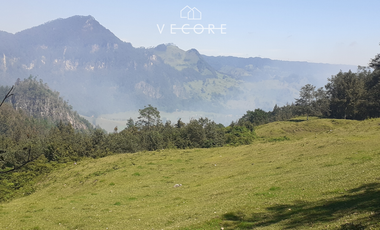 TERRENO EN VENTA, TENANGO DE DORIA, HIDALGO