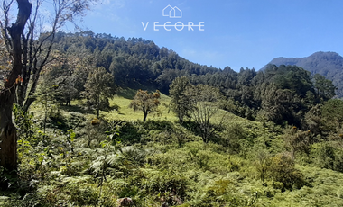 TERRENO EN VENTA, TENANGO DE DORIA, HIDALGO