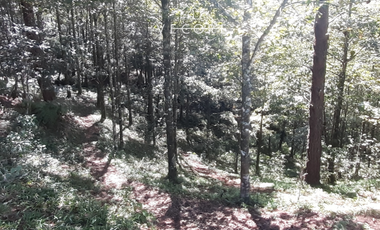 TERRENO EN VENTA, TENANGO DE DORIA, HIDALGO