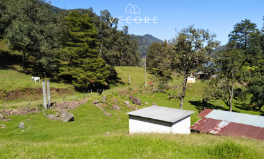 TERRENO EN VENTA, TENANGO DE DORIA, HIDALGO