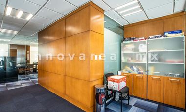 Oficinas en Antigua  Zona Esmeralda