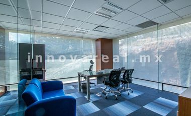 Oficinas en Antigua  Zona Esmeralda