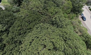 EXCELENTE TERRENO A LA VENTA EN ISLA REAL EN BOSQUE REAL