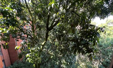 HERMOSO APARTAMENTO AMOBLADO EN EL POBLADO MEDELLIN AMPLIO E ILUMINADO