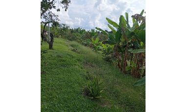 SE VENCE FINCA VIA A MARABELES ALCALA