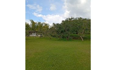 SE VENCE FINCA VIA A MARABELES ALCALA