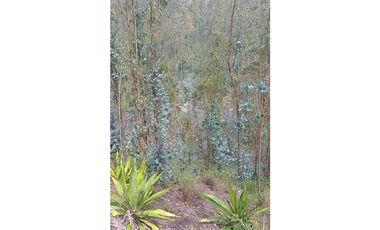 Se vende finca en el Charquito Cundinamarca