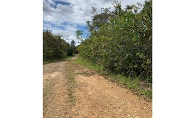 Terreno a la venta en Lotificación El Carrizal, Potrerillos Arriba