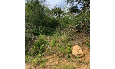 Terreno a la venta en Lotificación El Carrizal, Potrerillos Arriba