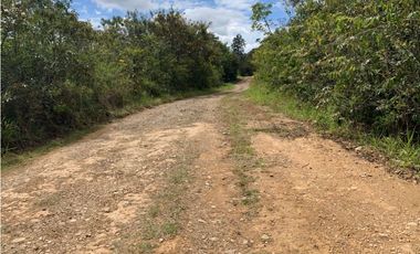 Terreno a la venta en Lotificación El Carrizal, Potrerillos Arriba