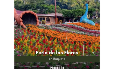 VENTA DE APARTAMENTOS EN CHIRIQUI