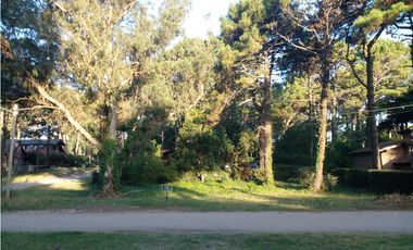 Lote Urquiza y Betbeder