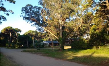 Lote Urquiza y Betbeder