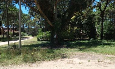 Lote Urquiza y Betbeder