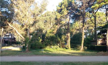 Lote Urquiza y Betbeder