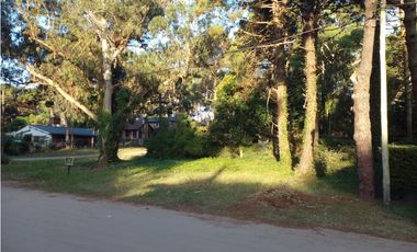 Lote Urquiza y Betbeder