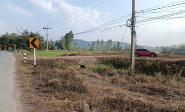 Land for sale in Mueang Chum, Chiang Rai