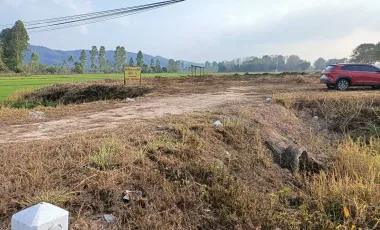 Land for sale in Mueang Chum, Chiang Rai