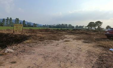 Land for sale in Mueang Chum, Chiang Rai