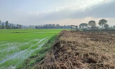 Land for sale in Mueang Chum, Chiang Rai