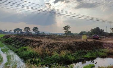 Land for sale in Mueang Chum, Chiang Rai