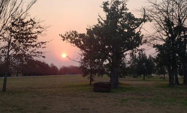 La Rinconada-  Venta Terrenos de 1000 m2 en Ibarlucea.