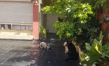 PH en venta - 3 Dormitorios 2 Baños - Cochera - 200Mts2 - Bernal, Quilmes