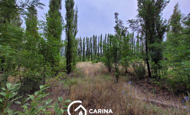 Chacra 5,7 hectáreas en  Centenario - Neuquén