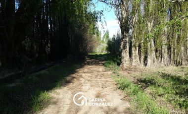 Chacra 5,7 hectáreas en  Centenario - Neuquén