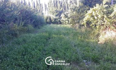 Chacra 5,7 hectáreas en  Centenario - Neuquén