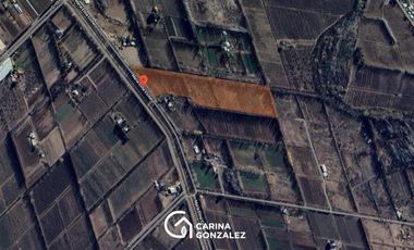 Chacra 5,7 hectáreas en  Centenario - Neuquén